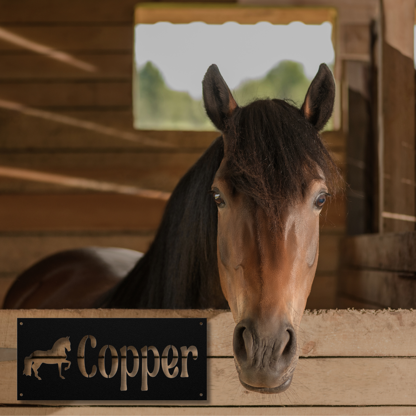 Horse Stall Name Sign