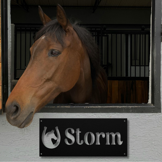 ShoeHorse Stall Name