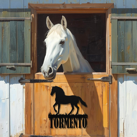 Paso Fino Custom Horse Name Sign