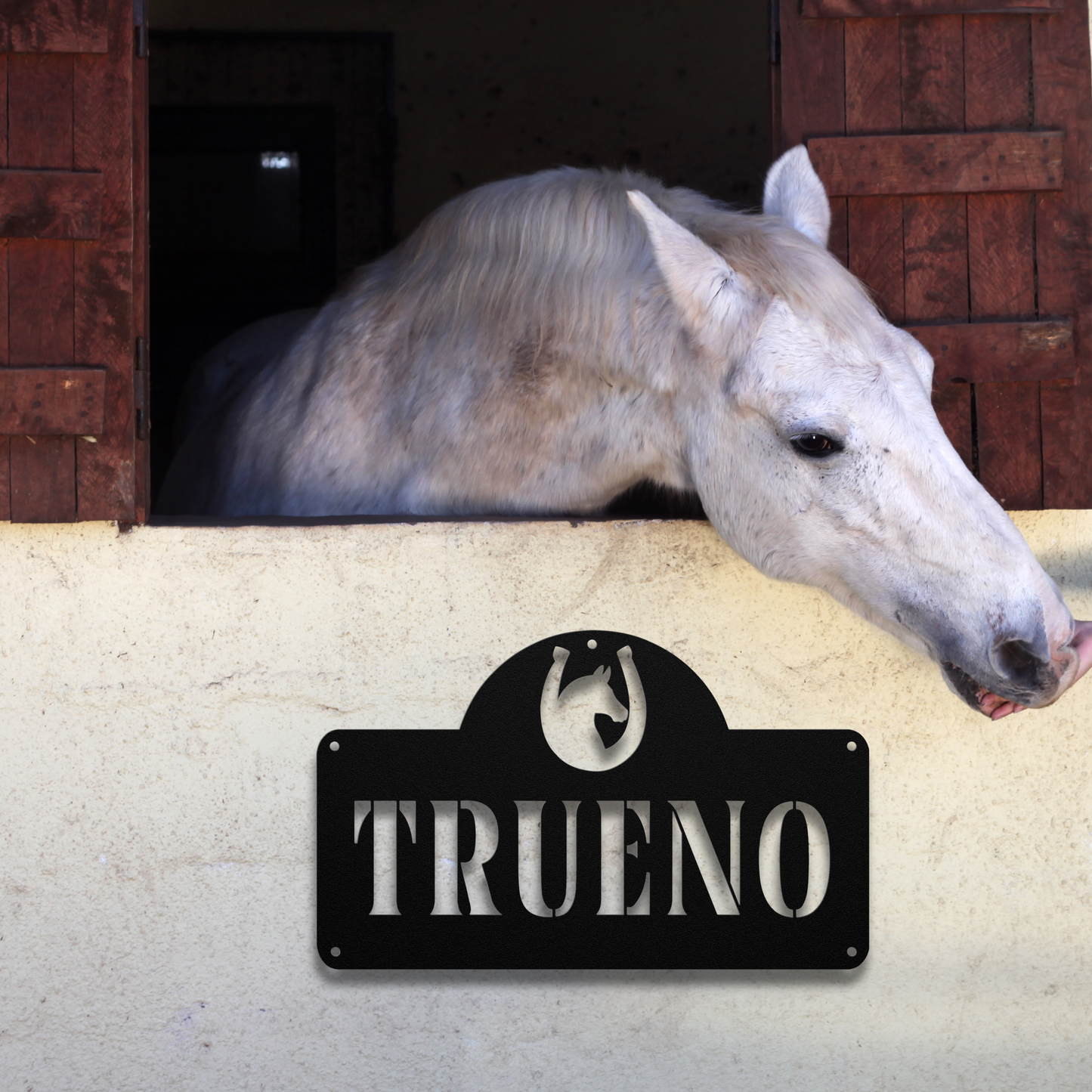 Custom Name Stall sign