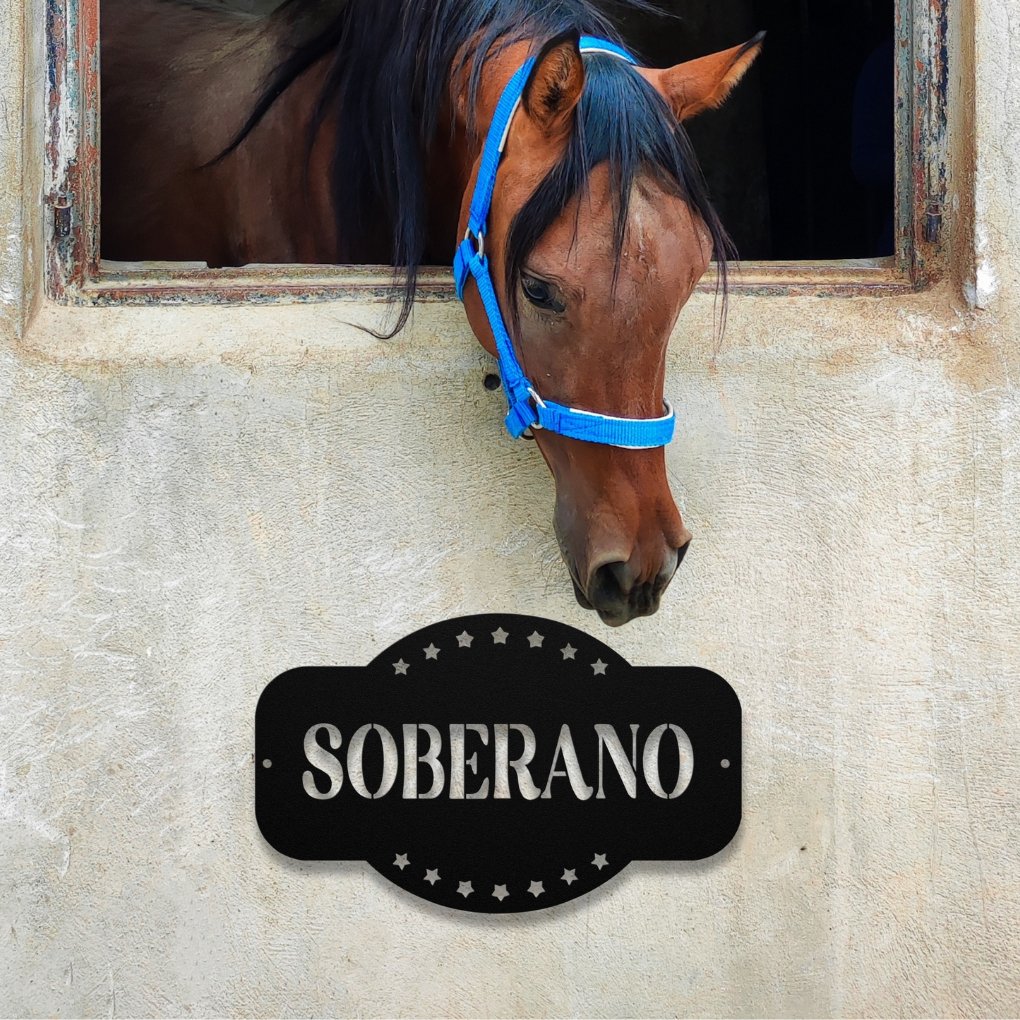 Custom Stall Name Sign