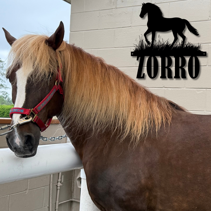 Paso Fino Horse Name Metal Sign – Personalized Equestrian Wall Art
