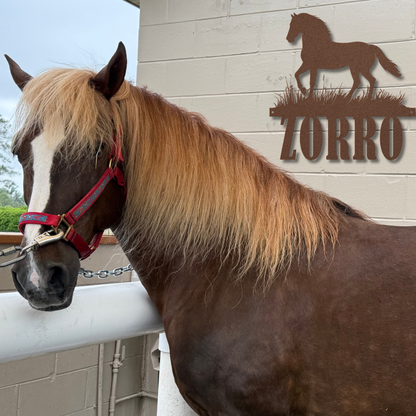 Paso Fino Horse Name Metal Sign – Personalized Equestrian Wall Art